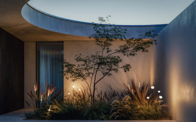 A small tree and ornamental grasses are illuminated by garden lights in a minimalist outdoor courtyard with an open circular ceiling
