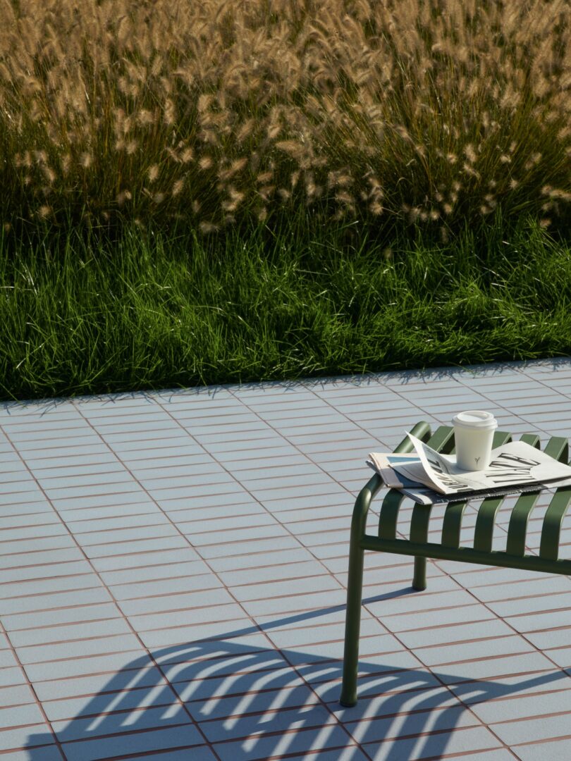 Banco de metal verde con periódicos y tazas de café desechables en una terraza embaldosada con pasto alto y plantas de caña marrón en el fondo