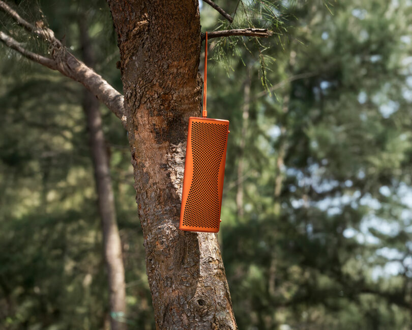 An orange portable speaker hangs by its strap from a tree branch in an outdoor wooded area.