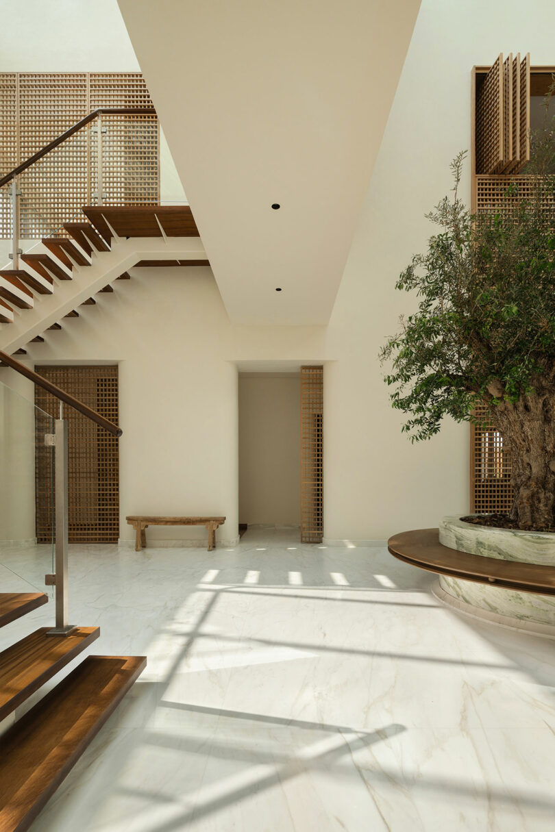 Un espacio interior moderno con escaleras de madera, un piso de mármol, un banco incorporado y un árbol interior rodeado por una maceta circular.