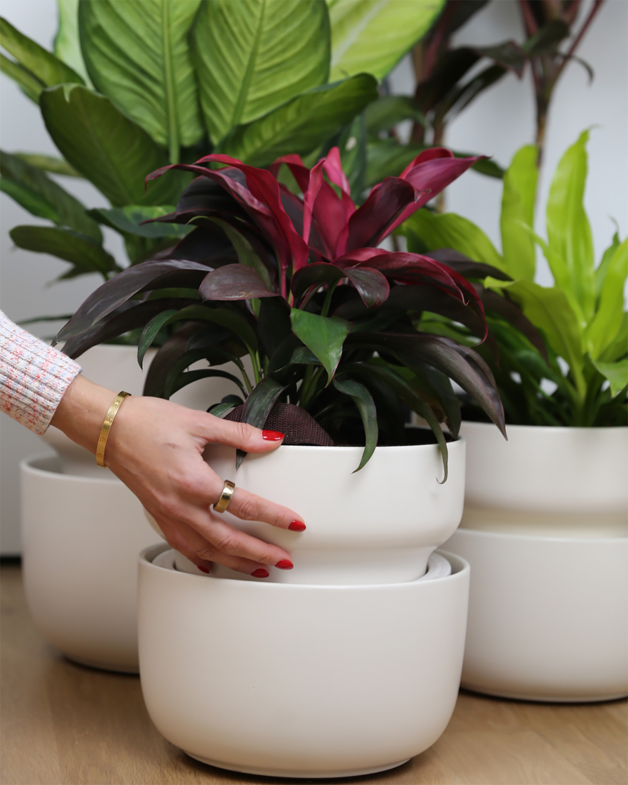 Having Trouble Keeping Your Plants Alive? Tendril Can Help