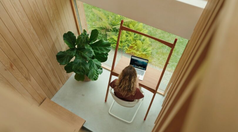 A person sits at a desk using a laptop near a large window with a view of greenery, next to a large indoor plant in a wooden-paneled room
