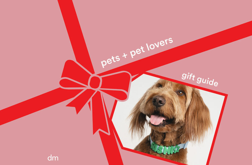 Gift guide 2025 pets featured 1280 810x530