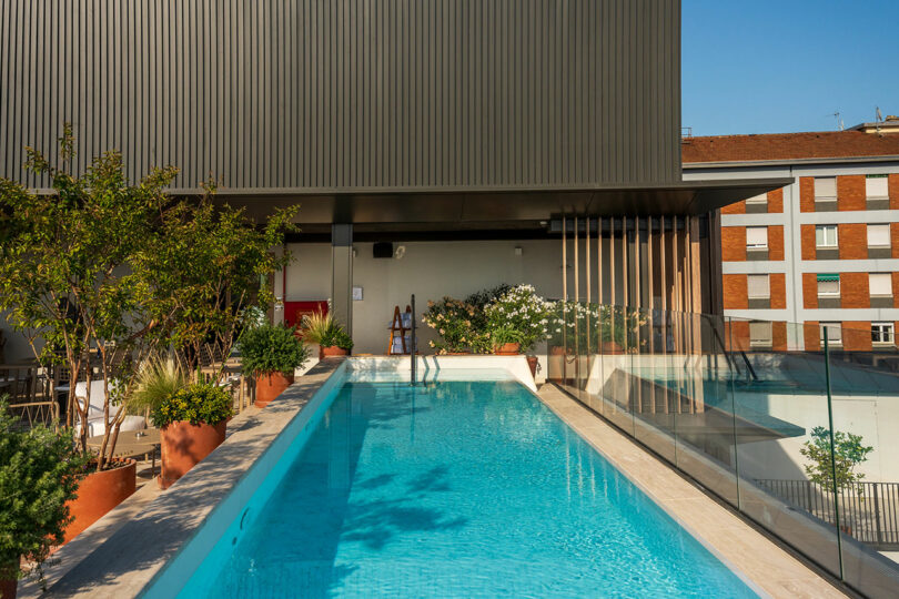 A rooftop swimming pool with clear blue water, surrounded by potted plants and glass railing, adjacent to a modern building.