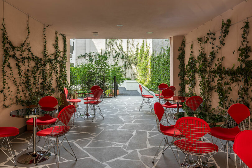 Covered patio with red chairs and round tables, stone-patterned floor, and green vines climbing beige walls, opening to an outdoor garden area.