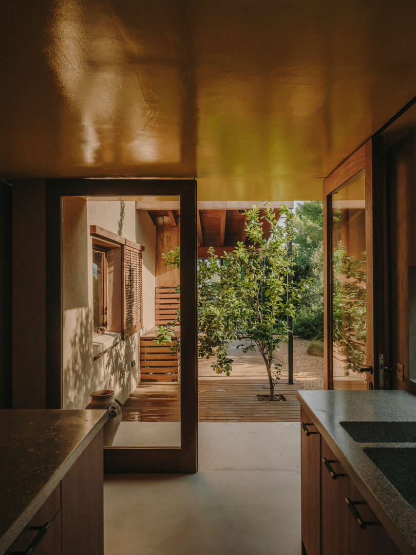 Desde la moderna cocina, la terraza tiene un árbol, una terraza de madera y la luz del sol entra a través de las puertas de vidrio.