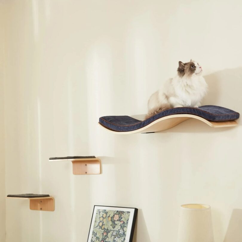 A cat lounges on a curved wall-mounted shelf above two lower shelves. Below it shows part of a leaning framed picture and a lampshade.