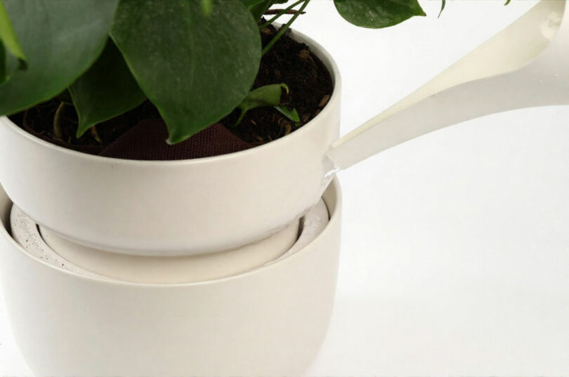 A white watering can pours water into a white Tendril Planter filled with green leaves; the pot sits atop another matching container.