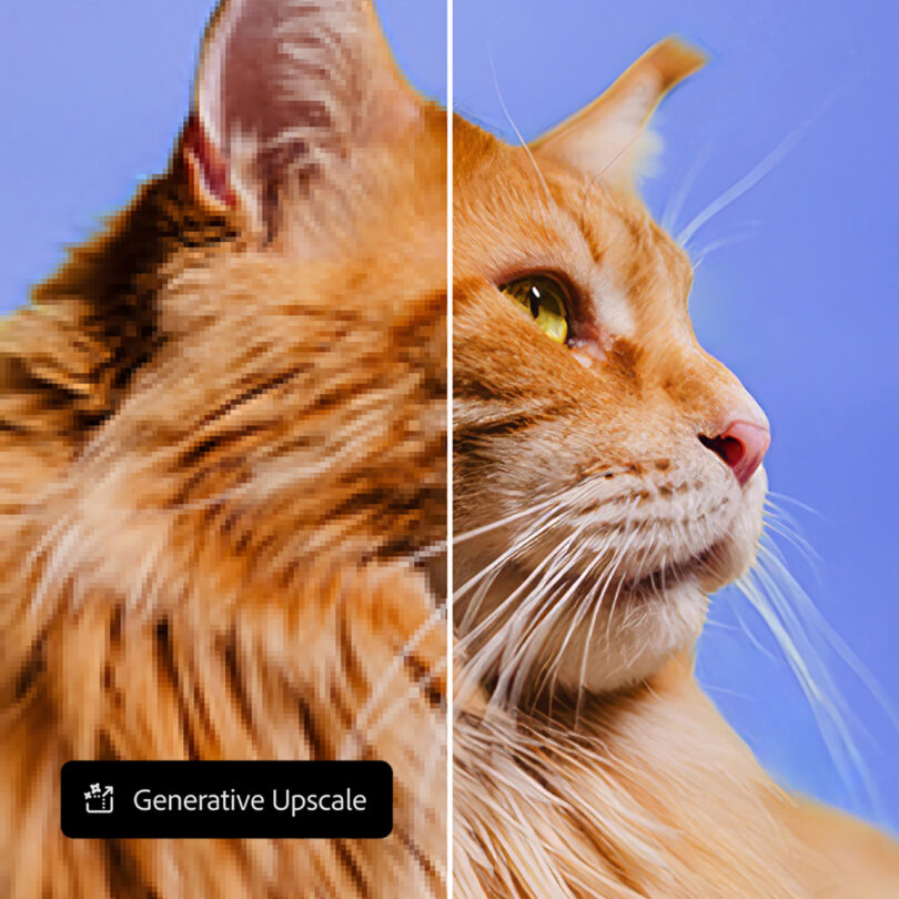 Comparación lado a lado de la cara de un gato, que muestra la imagen de baja resolución a la izquierda y una versión etiquetada y mejorada de alta resolución a la derecha. "Generar alta gama" Presentado en Adobe MAX 2025.