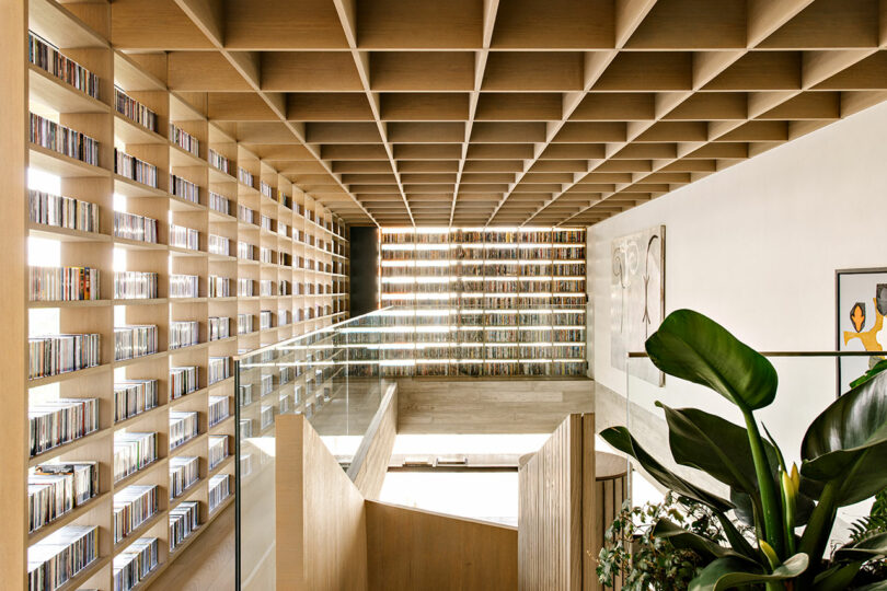 Interior moderno con techo de rejilla de madera, estantes del suelo al techo llenos de CD, barandillas de cristal, escaleras, plantas verdes y obras de arte enmarcadas en paredes blancas.