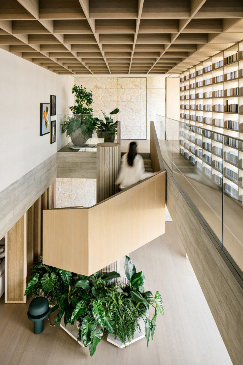 Se desciende por una escalera de madera clara hacia un interior moderno decorado con plantas, obras de arte, barandillas de vidrio y paredes revestidas de estanterías.