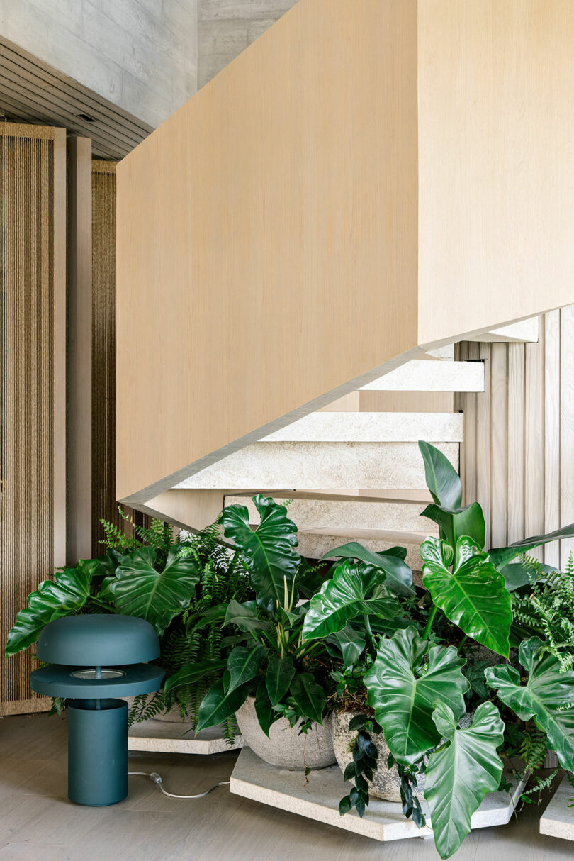 Interior moderno con una escalera flotante de madera con exuberantes plantas en macetas verdes debajo y una lámpara de mesa verde azulado en el lado izquierdo de la imagen.