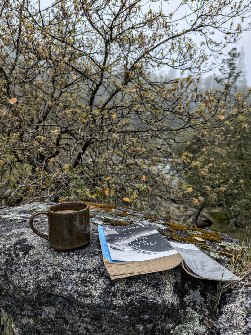 Una taza de cerámica marrón y un libro abierto de Dana Harel se encuentran sobre una gran roca al aire libre con un fondo de árboles y un cielo nublado.