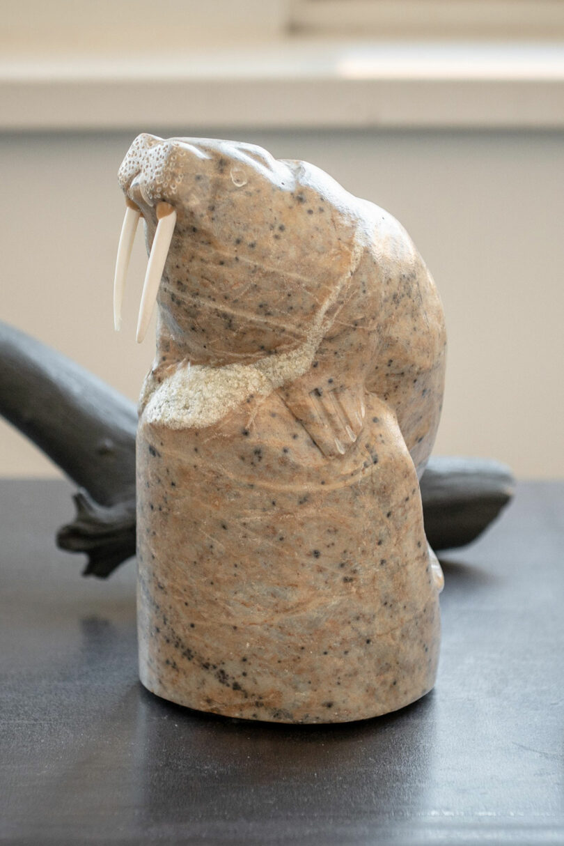 Una escultura de piedra pulida de una morsa con colmillos blancos se asienta sobre una superficie oscura con un fondo borroso.