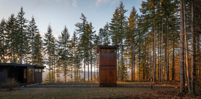 Una cabaña moderna y una torre estrecha de color óxido se alzan entre altos pinos, mientras la luz del sol se filtra a través del bosque.