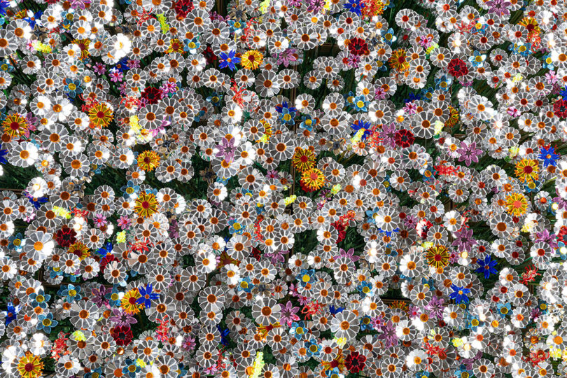 Reflecting Diverseness Turns Data Into Glistening Field of Flowers