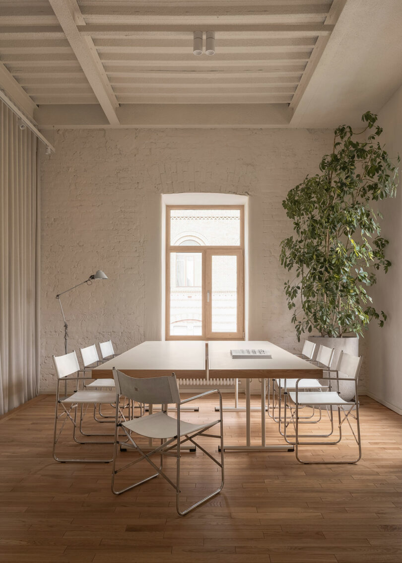 Minimalist meeting room with a square table, eight white chairs, a tall leafy plant, a floor lamp, and a large window with natural light on a wooden floor.