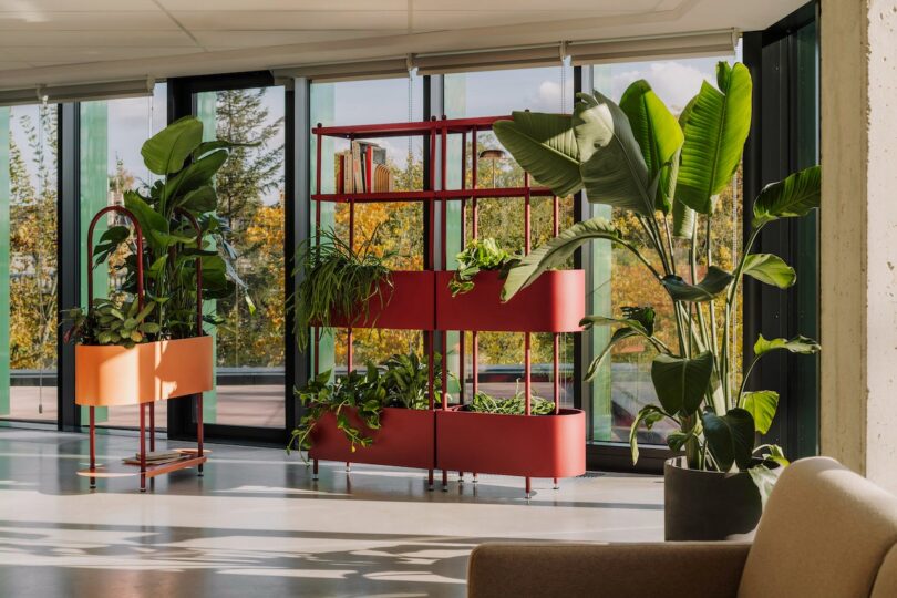 Espacio interior moderno con grandes ventanales y varias plantas verdes en macetas y coloridas macetas junto a sillones beige