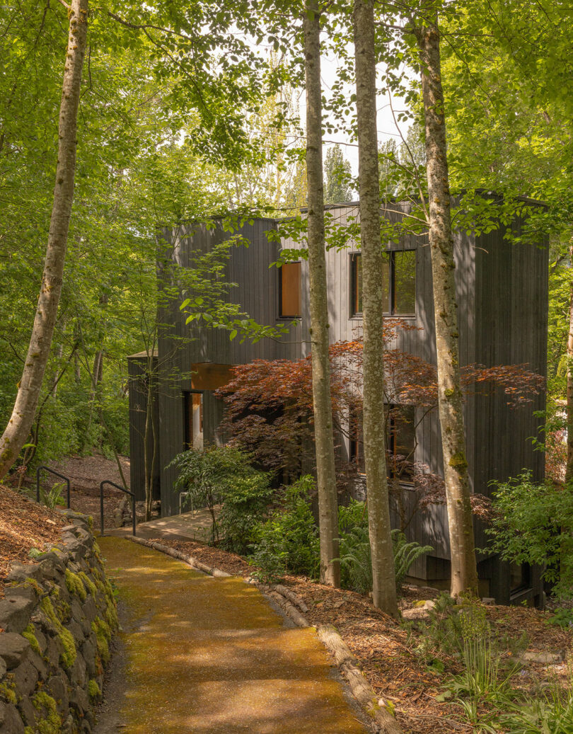 A modern dark wood house is surrounded by trees and greenery, with a stone-edged path leading to the entrance.