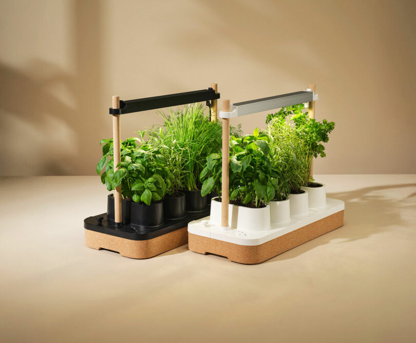 Auk mini indoor garden cork edition 1 810x668