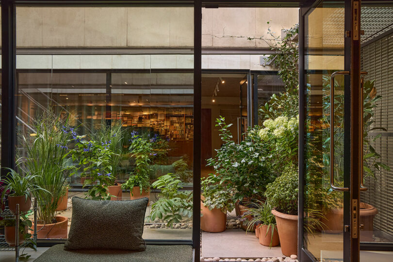 El moderno espacio interior con puertas de cristal se abre a un pequeño patio lleno de plantas en macetas y vegetación, con el edificio como telón de fondo.