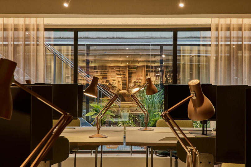 El moderno espacio de oficina cuenta con varios escritorios, lámparas ajustables, mamparas y grandes ventanales con vistas a un patio lleno de plantas.