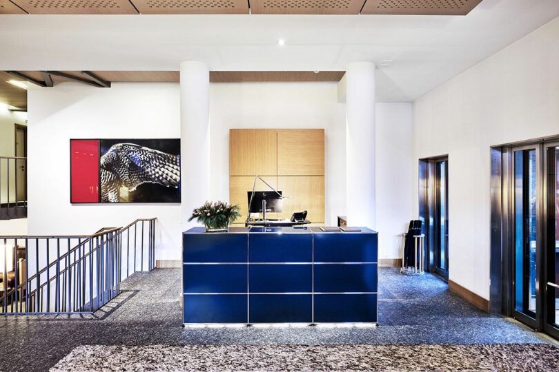 Moderna zona de recepción de oficina con mostrador de recepción azul, ordenadores, plantas en macetas y arte de serpientes enmarcado colgado en la pared izquierda. Las escaleras y las puertas de cristal también son claramente visibles.