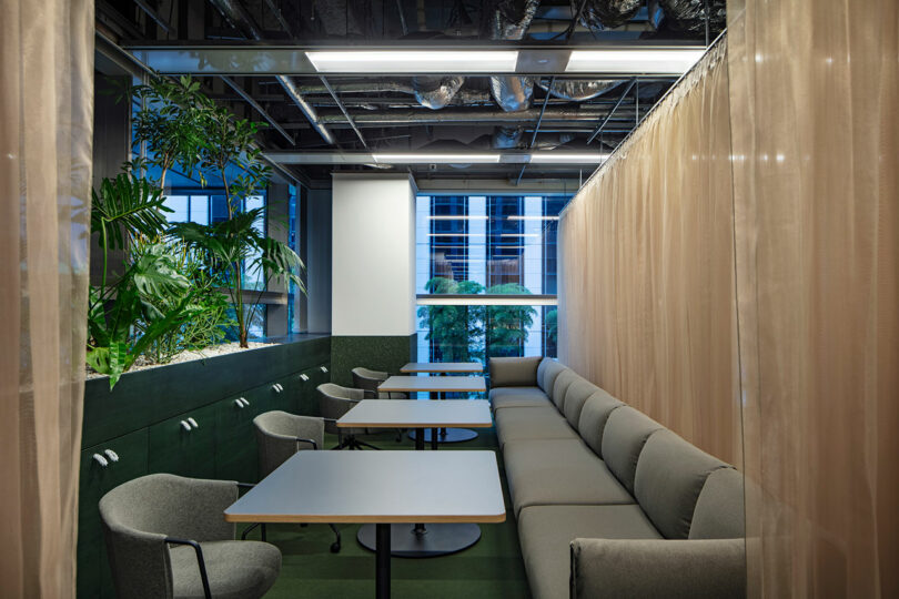 Salón de oficina moderno con sofá gris, mesa pequeña y sillas, plantas interiores y cortinas transparentes; Grandes ventanales que muestran la arquitectura de la ciudad en el exterior.
