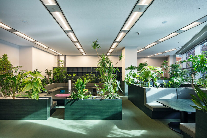 Los espacios de oficinas modernos cuentan con abundantes plantas de interior, zonas de estar integradas, grandes ventanales y luz natural.