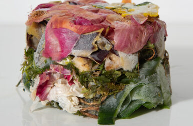 The Art of What We Throw Away