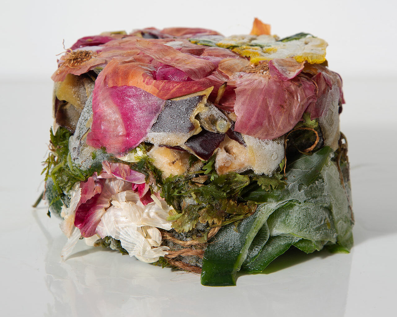 The Art of What We Throw Away