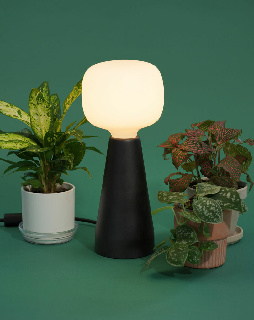 Una moderna lámpara de mesa Soltech con una luminosa pantalla blanca se encuentra entre dos plantas en macetas sobre un fondo verde.