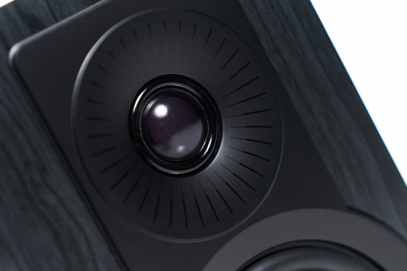 Close-up of a black DALI audio speaker showing the tweeter with a striking radial pattern around it.