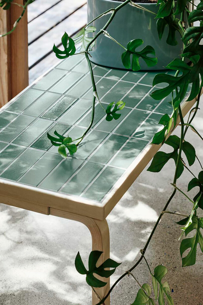 An Artek green tiled table with wooden edges sits next to a potted plant, with leafy vines trailing across its surface in natural light.