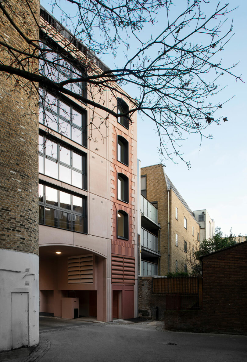 A modern multi-story building with large windows and a pink facade stands beside older brick structures on a quiet urban street, with a tree branch in the foreground.