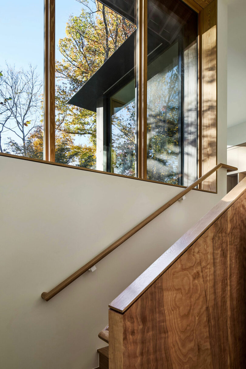 A wooden staircase with a handrail leads up beside large windows, through which trees and a modern exterior are visible. Natural light fills the space.