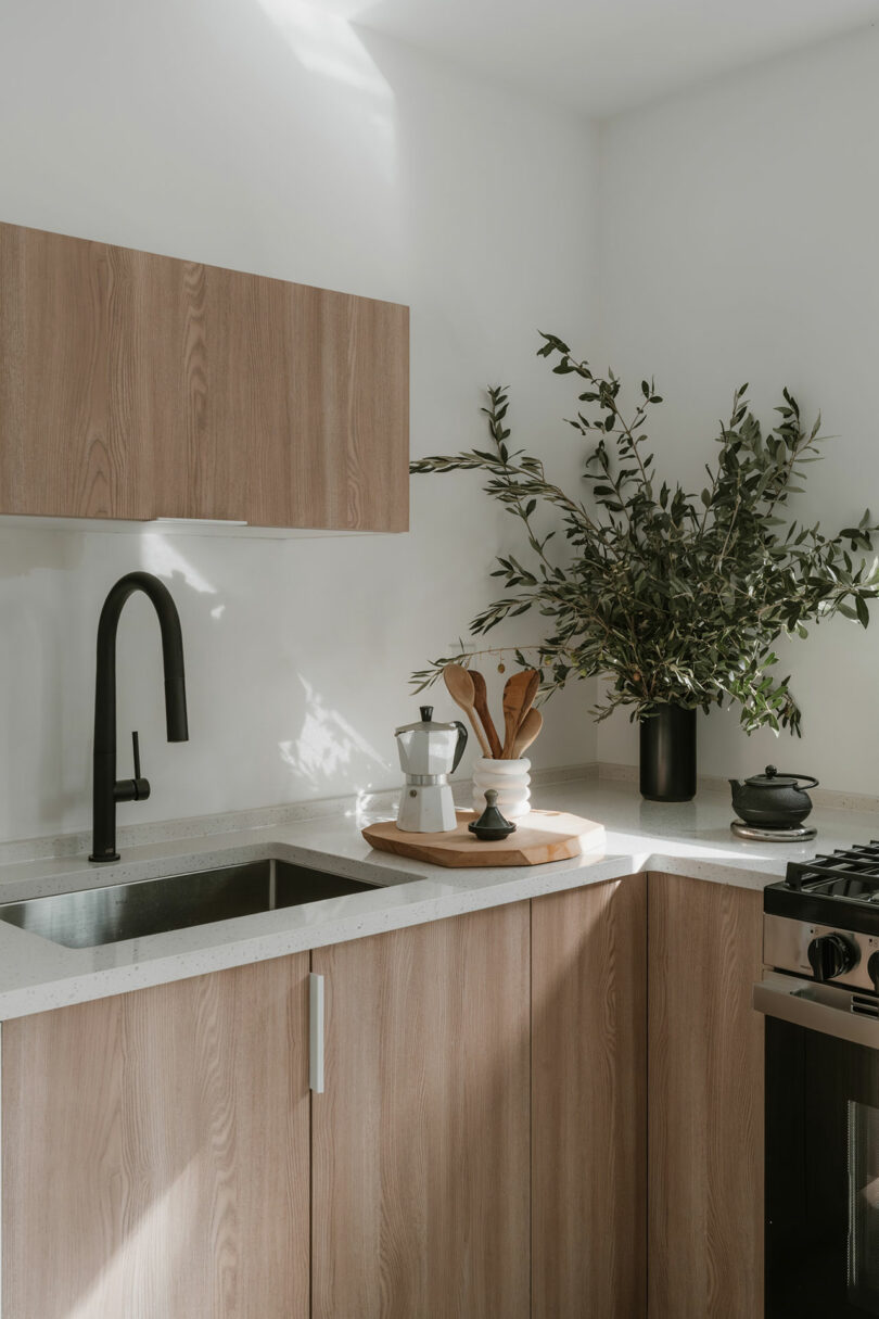 Modern kitchen with light wood cabinets, black faucet, a plant in a black vase, and kitchen items on the countertop near a gas stove. Bright natural light enters the space.