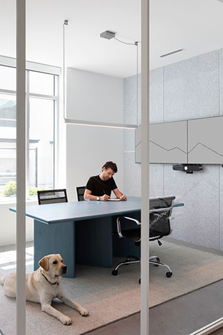 A man works at a desk in a modern office while a yellow Labrador retriever lies on the floor nearby.