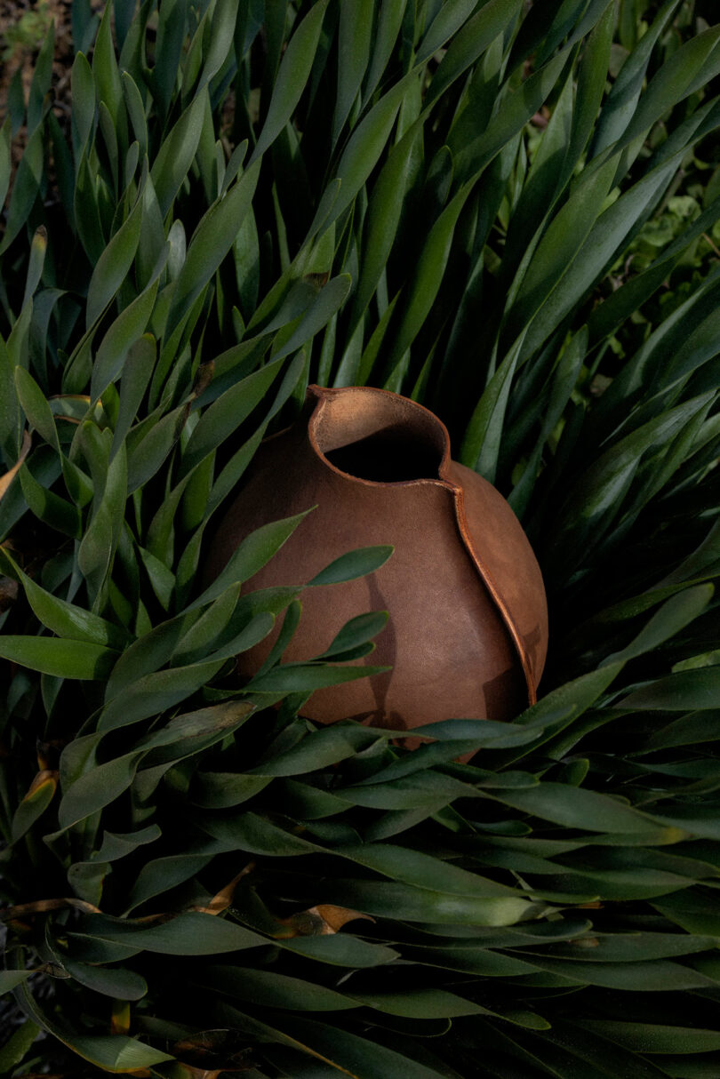 A brown, cracked ceramic vase nestled among dense, green, leafy foliage.