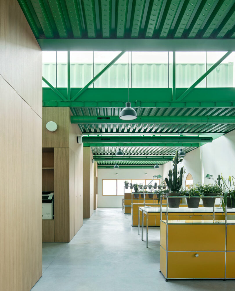 Interior de oficina moderno diseñado por Impepinable Studio con techo de metal verde, paredes con paneles de madera, unidades de almacenamiento amarillas y plantas en macetas sobre estantes metálicos. La luz natural se filtra a través de grandes ventanales.