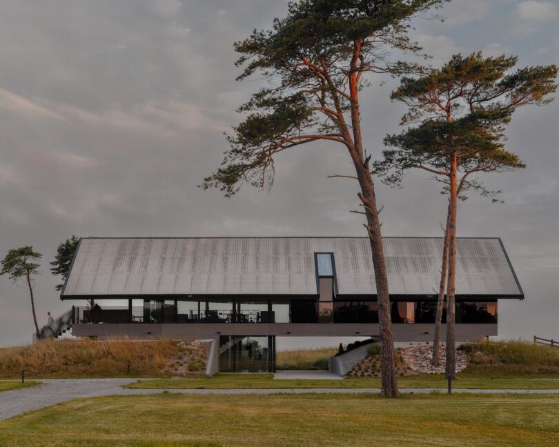 Modern, minimalist house with a sloped metal roof sits elevated on pillars amid grassy surroundings, with a few tall pine trees in the foreground.