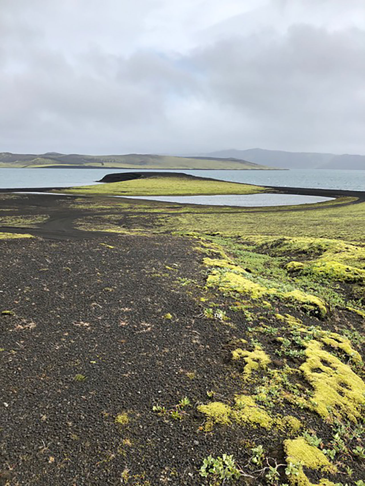 A landscape with dark volcanic soil, patches of green moss, a lake, and distant hills under a cloudy sky.