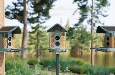 The Improved Kiwibit Bird Feeder 2 takes Twitching to New Heights