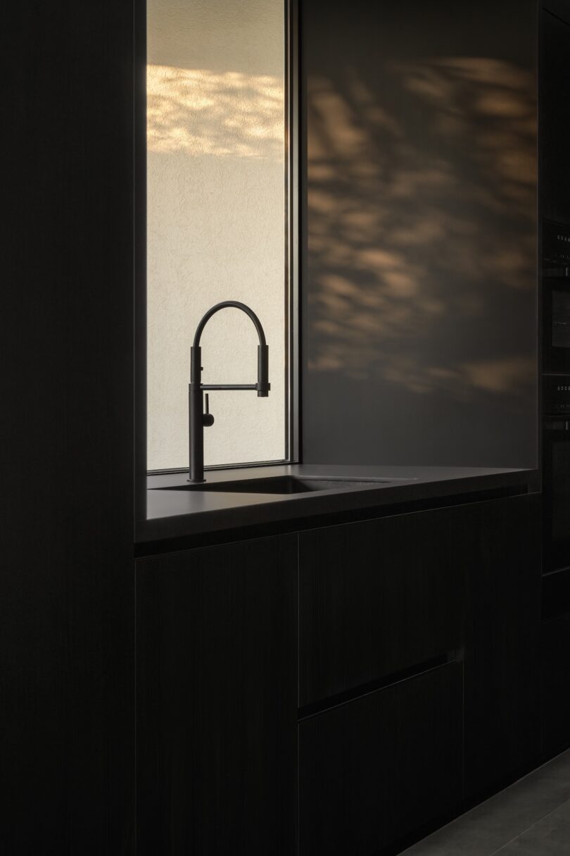 A modern black kitchen sink with a tall faucet sits under a window, with sunlight casting leaf shadows on the adjacent wall.