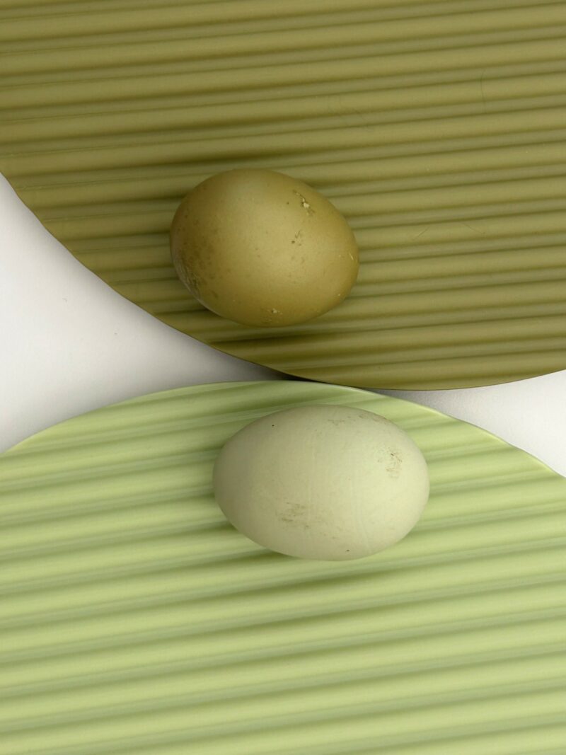 Se colocan dos huevos, uno marrón y otro verde claro, sobre una estera verde redonda y acanalada, superpuestos sobre una superficie blanca.