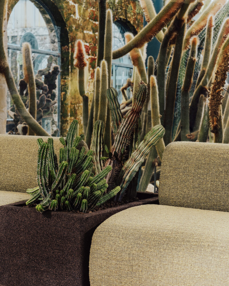Cactus verdes crecen en macetas marrones entre dos asientos tapizados en beige, con un mural de grandes cactus y arcos al fondo.