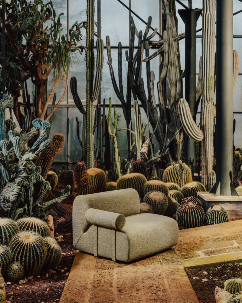 Modernos sillones grises se colocan entre varios cactus y suculentas en un invernadero con grandes ventanas de vidrio y caminos de tierra.