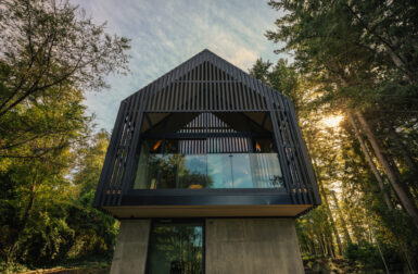 Little Giant Designs Its Own Forest Studio Around Light, Quiet, and Exploration