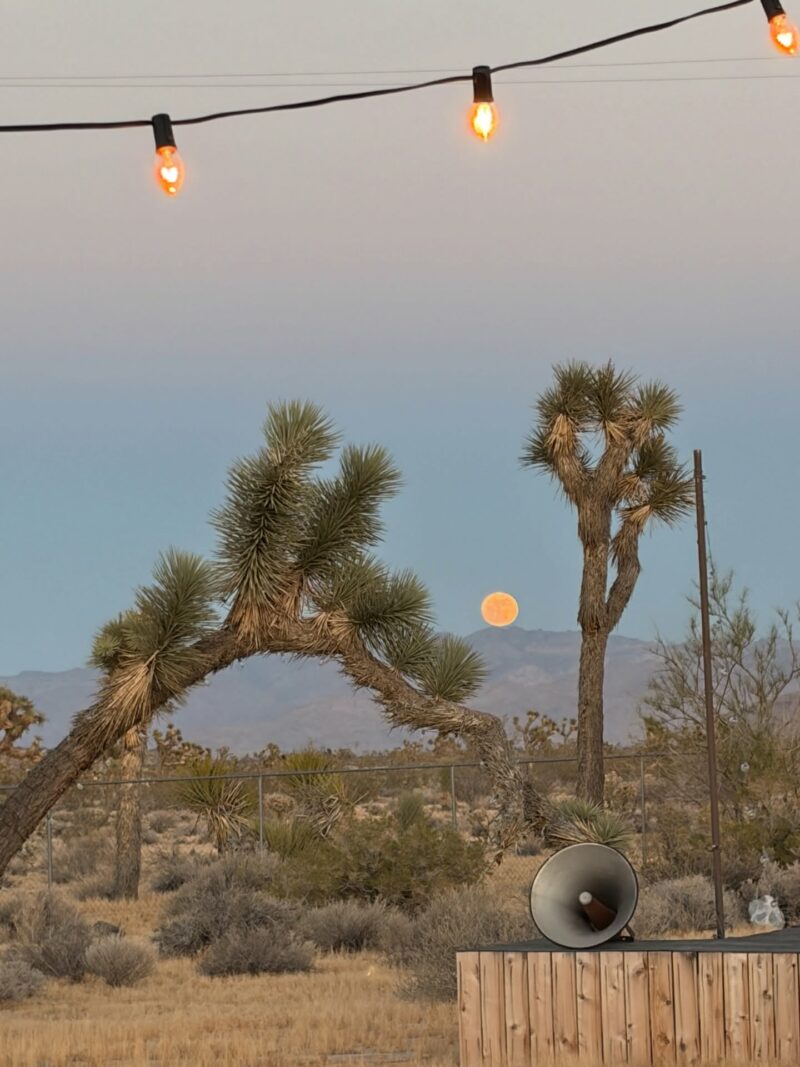 A desert landscape with Joshua trees, mountains in the background, a low full moon, string lights above, and a megaphone on a wooden structure in the foreground.