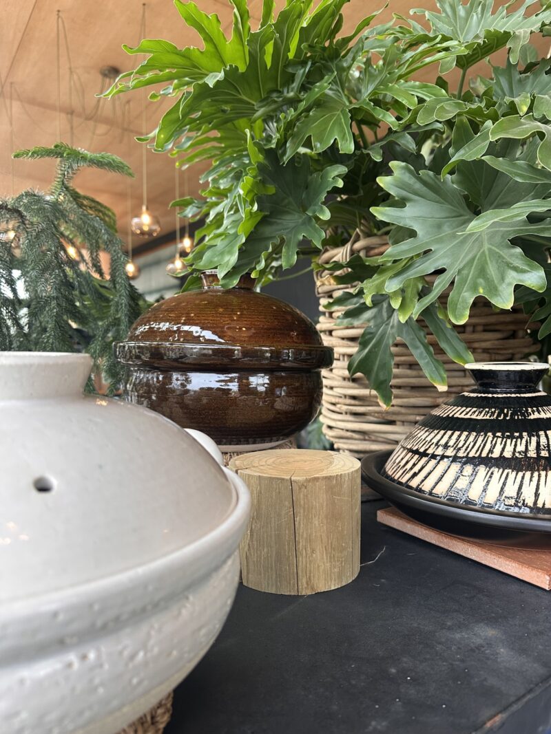 Three donabe cooking vessels of varying shapes and colors displayed on a table next to a large potted plant.